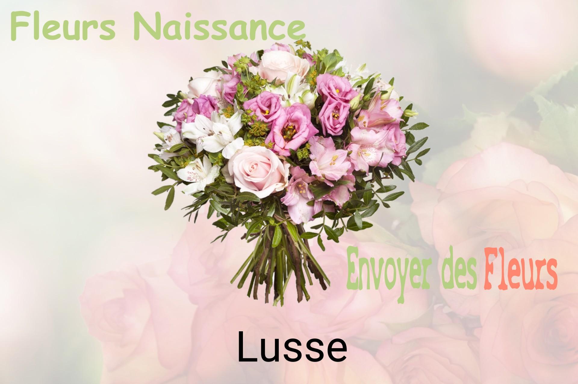 Bouquet de fleurs de naissance livré à Lusse