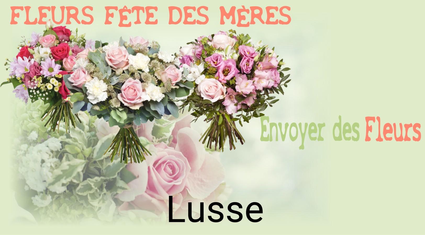 Bouquet de Fête des Mères livré à Lusse